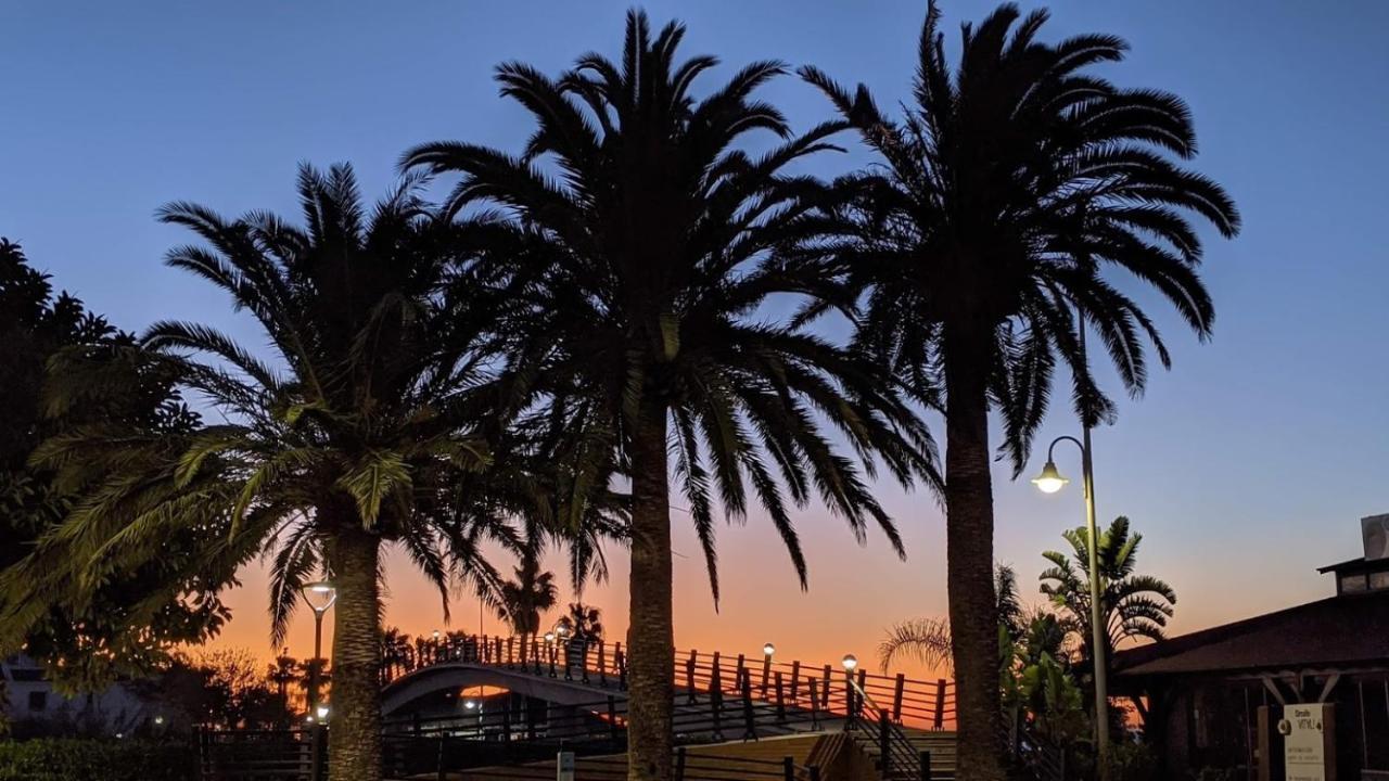 Algarrobo-Costa Daire Dış mekan fotoğraf